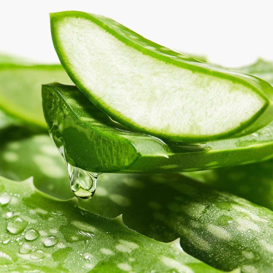 LE PETIT OLIVIER - Après-Shampooing Micellaire Purifiant Aloe Vera et Thé Vert - 200ml