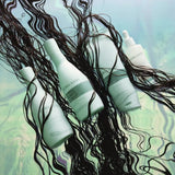 BJORN AXEN - Moisture Hair Mask - 200ml