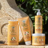 LE PETIT OLIVIER - Duo Shampooing et Après Shampooing Beurre de Karité et Macadamia - 250ml