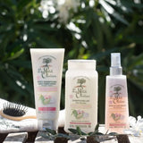 LE PETIT OLIVIER - Duo Shampooing et Après Shampooing Lait Soin Douceur Amande Douce Et Crème De Riz - 250ml
