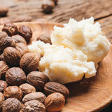 LE PETIT OLIVIER - Après-Shampooing Beurre de Karité et Macadamia - 200ml