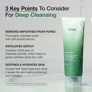 ANUA - Heartleaf + BHA, Heartleaf Quercetinol Pore Deep Cleansing Foam - 150ml